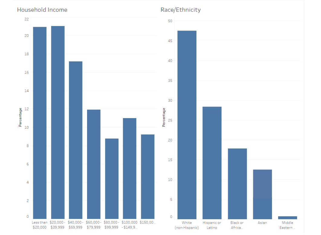 Household Income and Race Ethnicity Final